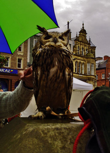Owl keepers in Wigan town centre, September 2010